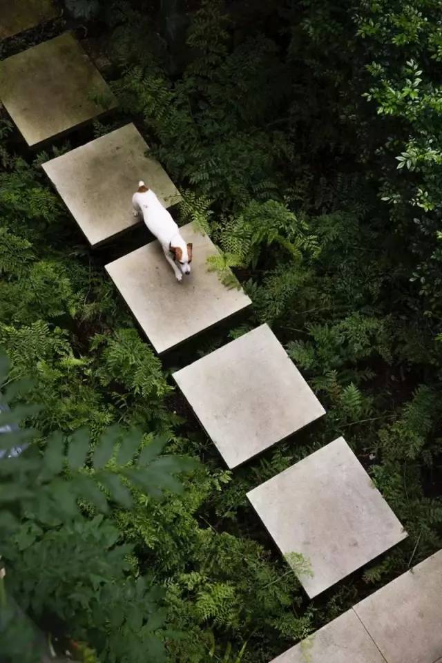 混凝土+绿植的别样庭院