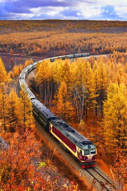 金色秋季, 穿行在大兴安岭之中的火车是如此唯美
