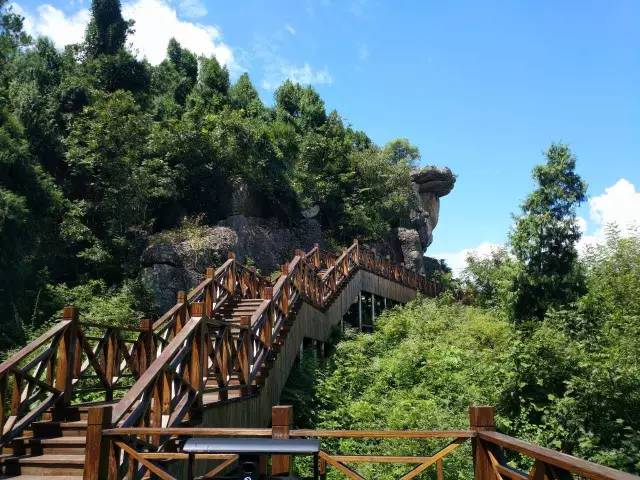 【文旅】抓住夏天的尾巴,这个周末在江油周边嗨起来!