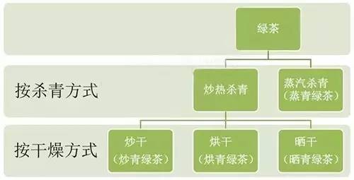 一张图搞清四类绿茶的划分