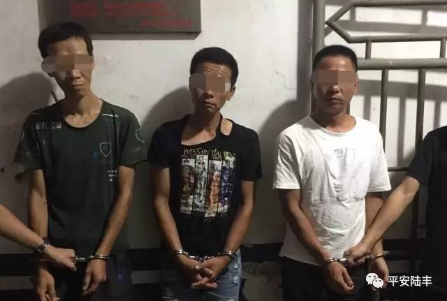 陆丰大清查,又抓获23人,涉黄的,吸毒的,涉赌的,男女都有