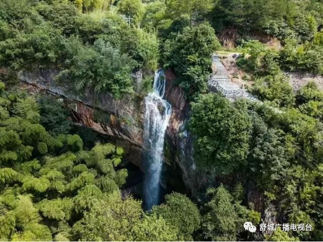 根据季节的不同,游客在技术人员指导下亲手传统或机械制作舒城小兰花