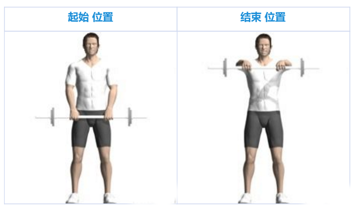 杠铃前平举:锻炼手臂好选择