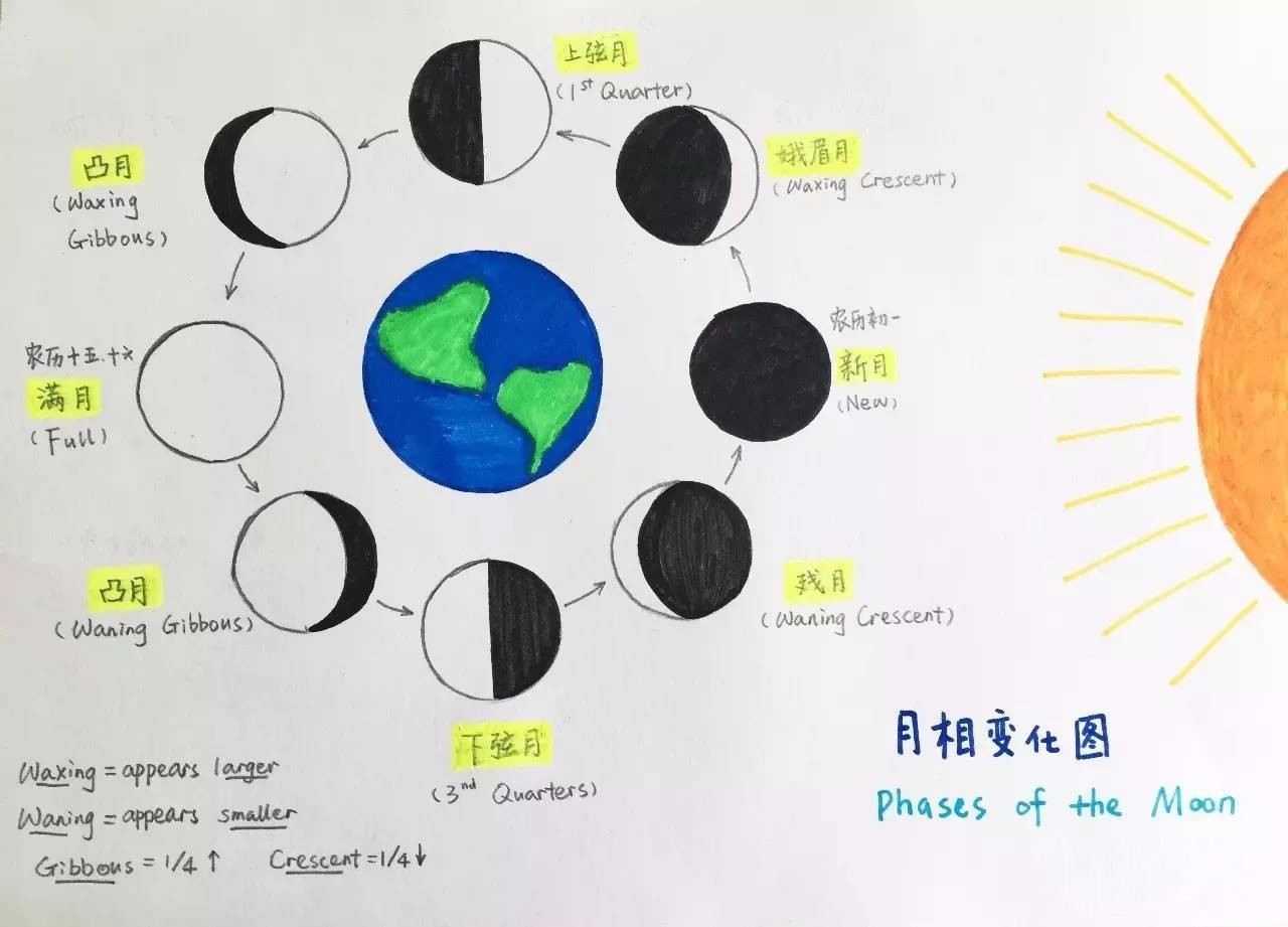 我们特别赠送每个小朋友一套【月相成因】实验玩具,一起探索月亮变化