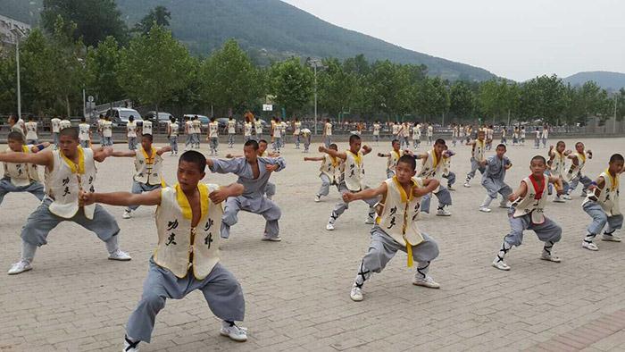 少林寺武校的基本功包括:手法,腿法,步法,眼法等,配以踢,打,摔,拿,击