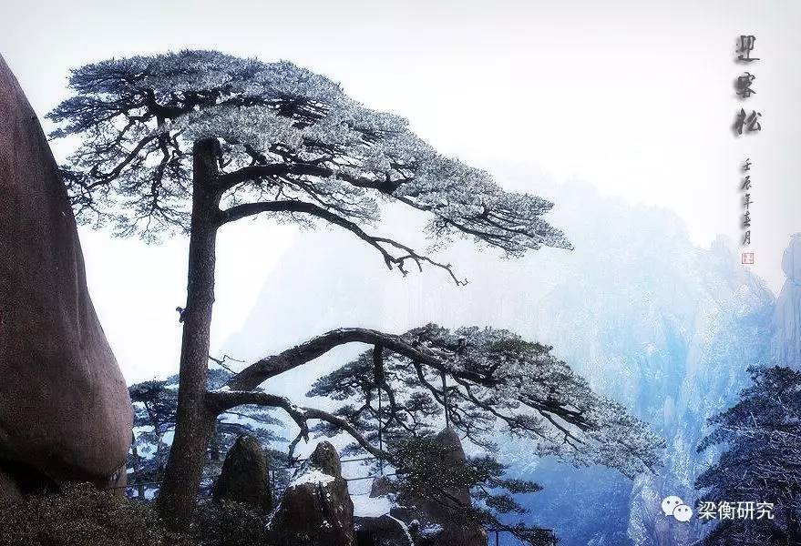 大雪压青松,青松挺且直