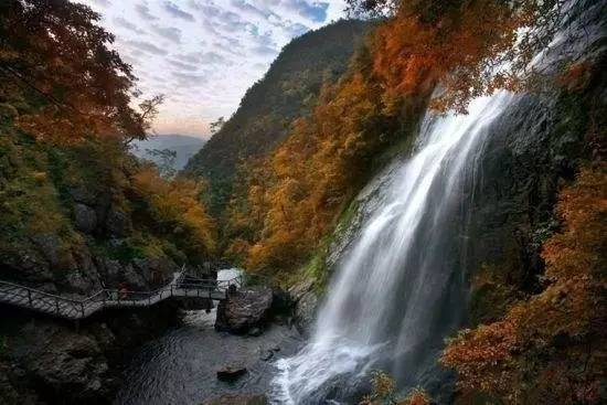 神龙谷景区内林海茫茫,山清水秀.