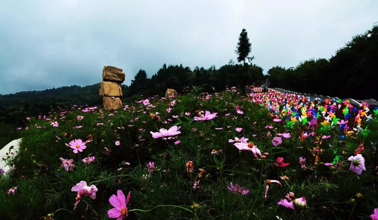 这辈子,一定要去一次野三关