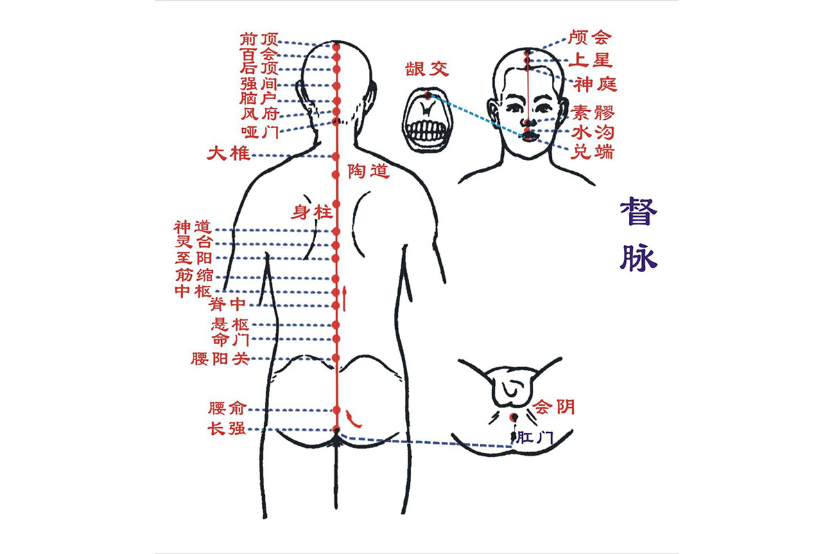 任督二脉与十二经脉在人体中究竟发挥着什么作用呢?