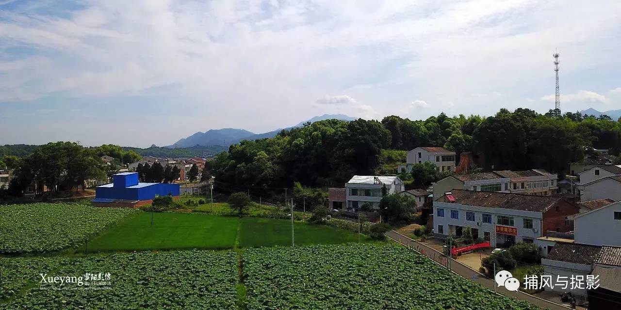 乡村旅游基地"正在以全新姿态向世人展现她当有生机;当下的浏阳淳口