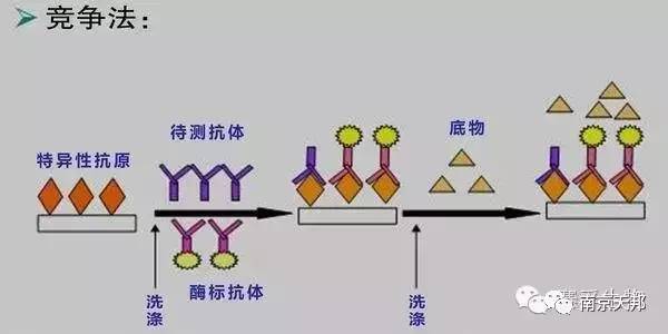 酶联免疫吸附试验的基本原理和性能指标三