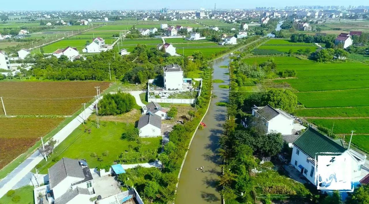 【平湖好风景】水清岸绿好惬意,钟埭这里美呆你!