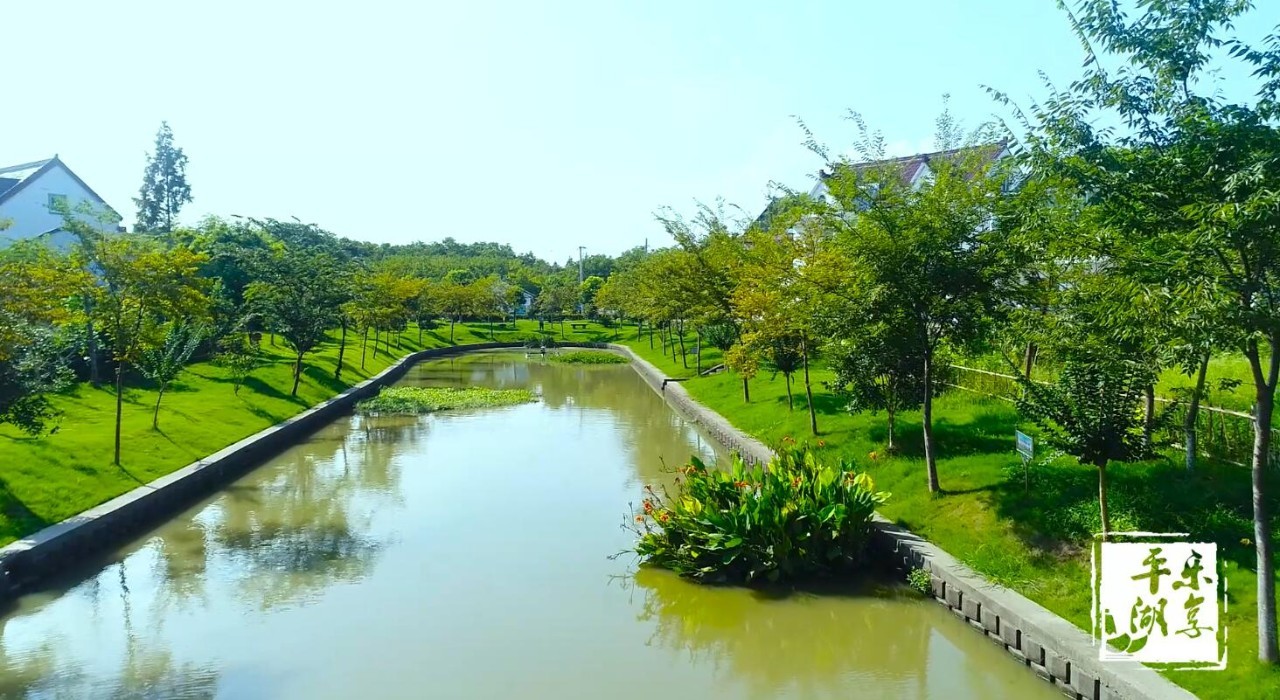 【平湖好风景】水清岸绿好惬意,钟埭这里美呆你!