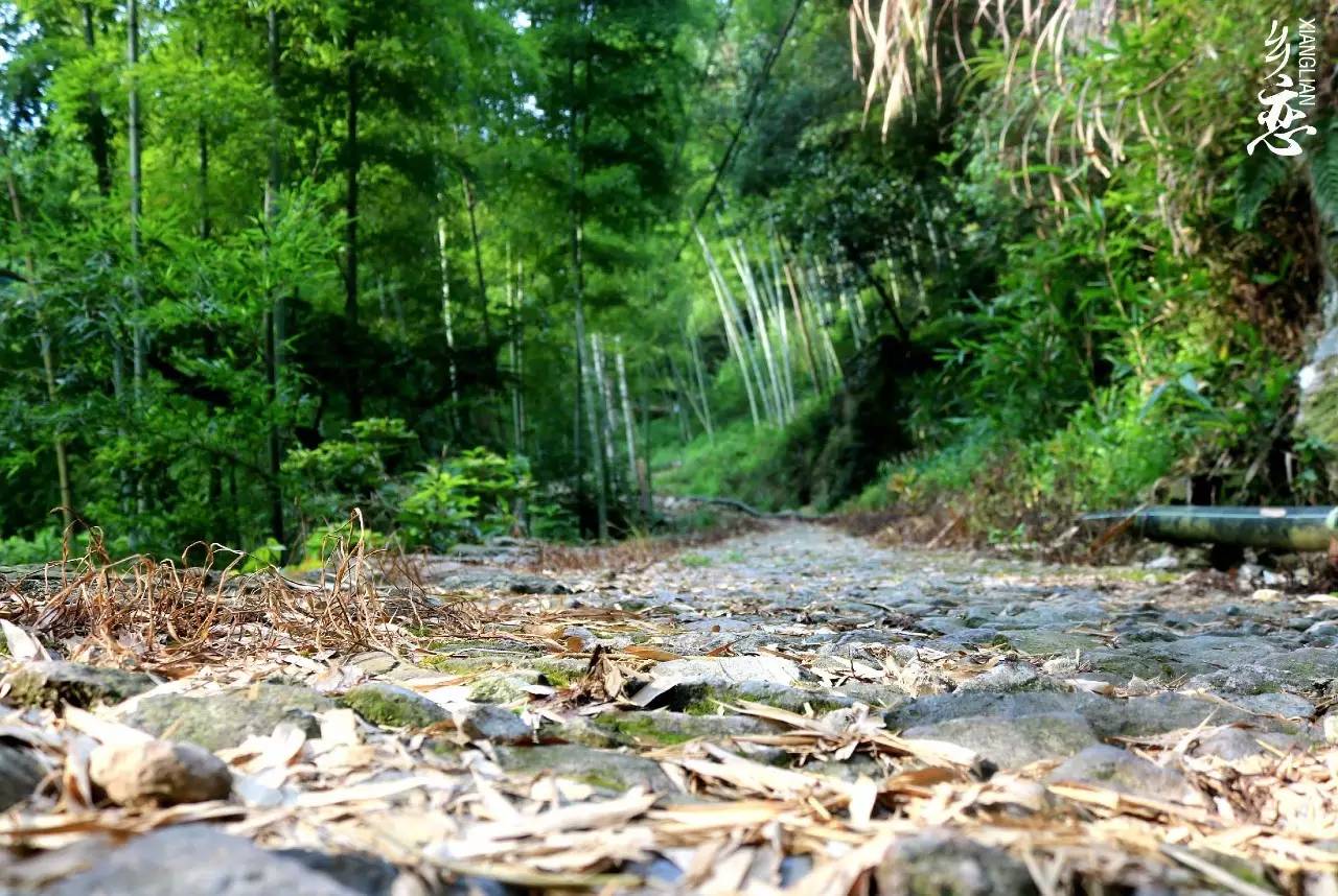 跟我走吧 | "竹翠欲流,山溪作响"走!去塘溪东山村一探"月宫"