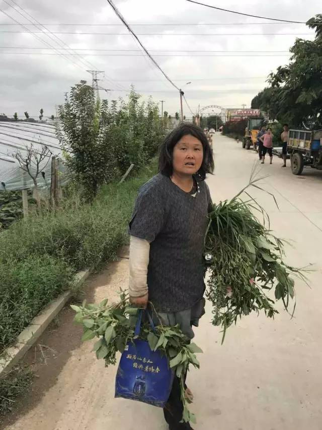 在青州黄楼的这位大妈找不到家了,大家帮她回家!