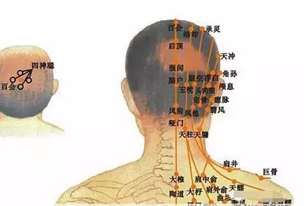 [最新]头部正面穴位图doc下载