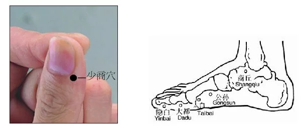 6,少商——隐白:主治出血癫狂等疾.