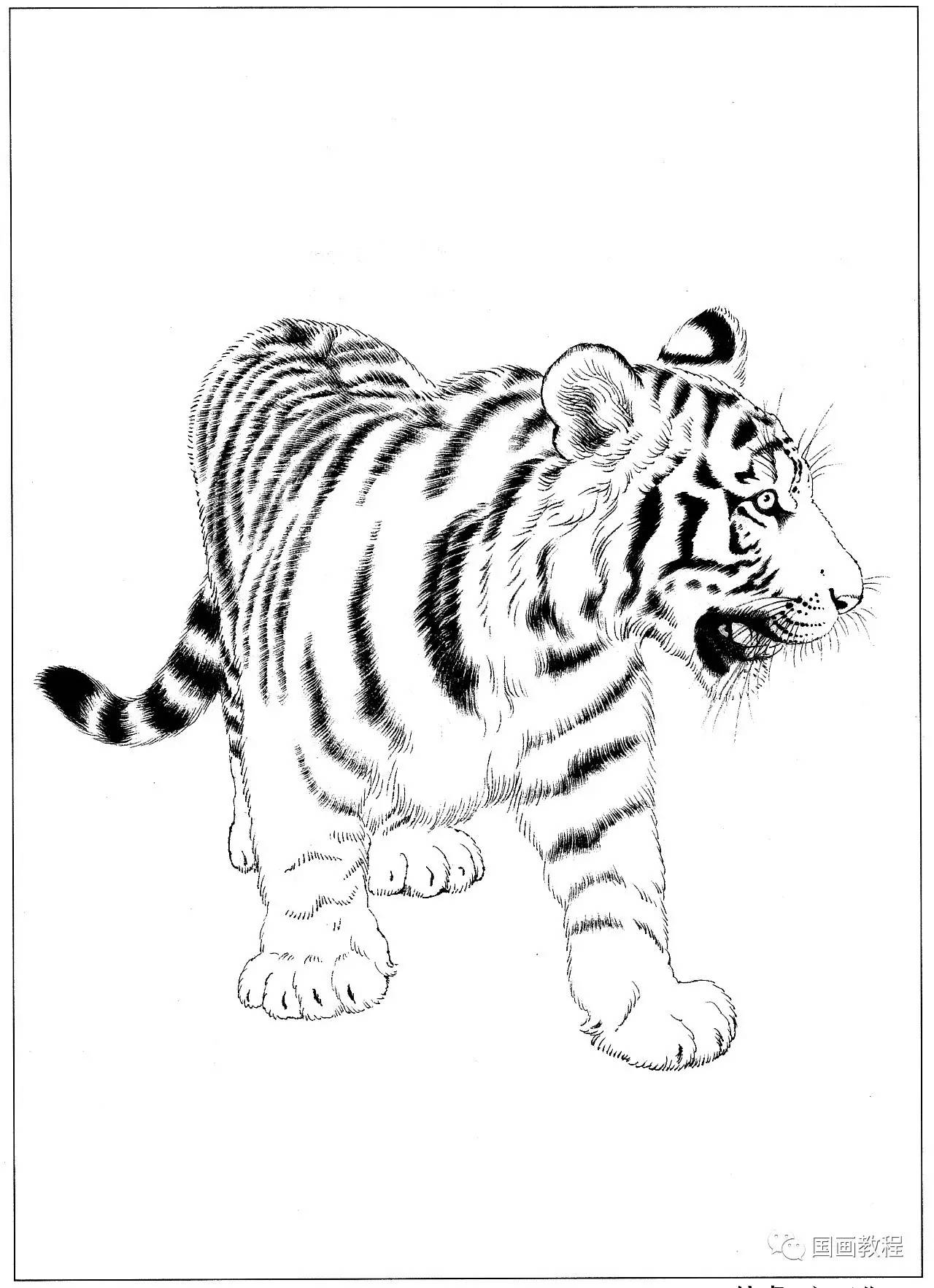 怎么画小老虎的 简笔画画法图解教程 肉丁儿童网