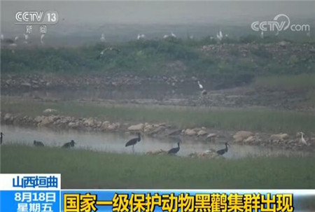 芦新河人口_芦新河小学图片