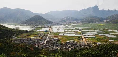 苍南县马站镇人口_苍南县马站镇棋盘村