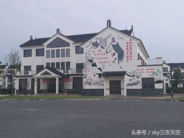 上海特色农村民居家园 家家户户都是小别墅