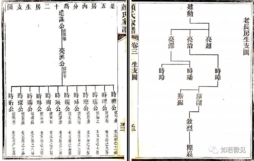 安平【颜氏迁粤族谱】之世系图