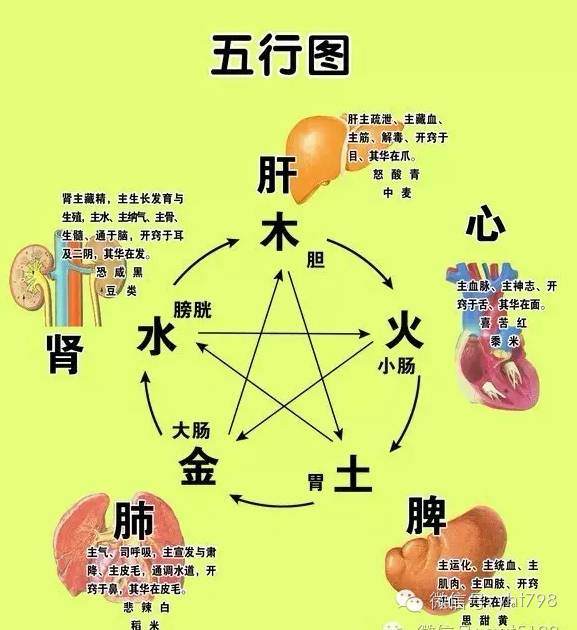 惠顾是什么意思