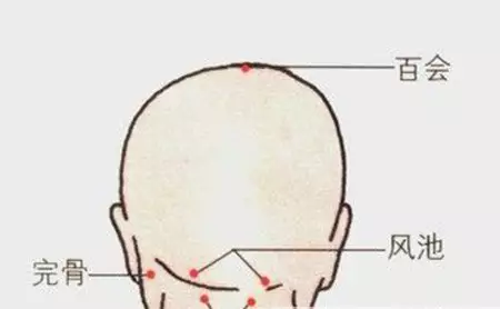 第十七大病源穴:完骨穴