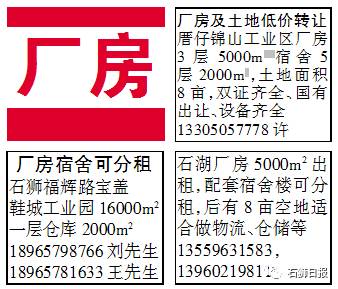 石狮招聘信息_2019福建泉州石狮市总医院招聘编内卫技人员13人岗位表下载(4)