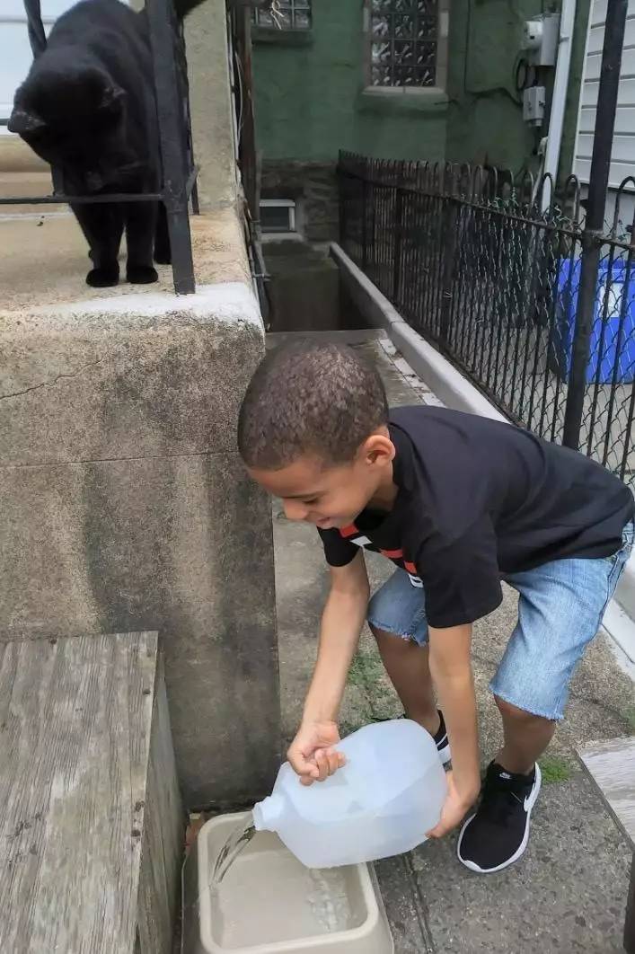 他是被猫神眷顾的小男孩儿,他是这些流浪猫的超级英雄.