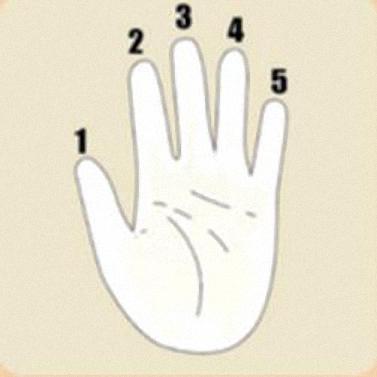 五个手指猜成语是什么成语_五手指一个天什么成语(2)