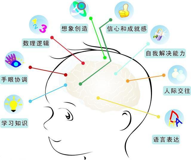 2-6岁的儿童,必须要通过外界的刺激来强化大脑发育.