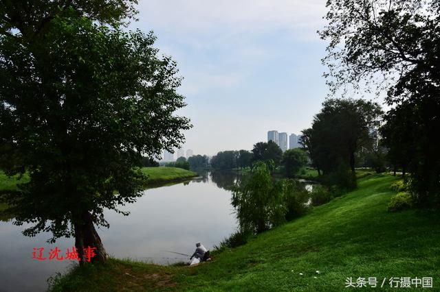 沈阳最美湿地公园免费开放,景色不输5a景区