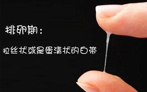 备孕须知,8个方法推算排卵期