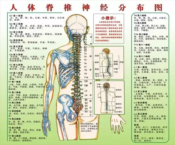 我的孩子6岁,今天突然后背脊椎骨疼