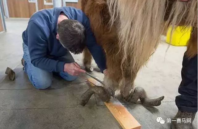 两匹马猜成语是什么成语_疯狂猜成语两匹马答案 游戏狗疯狂猜成语专区