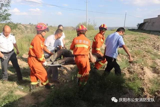 甘肃庆阳市人口头语_甘肃庆阳市地图