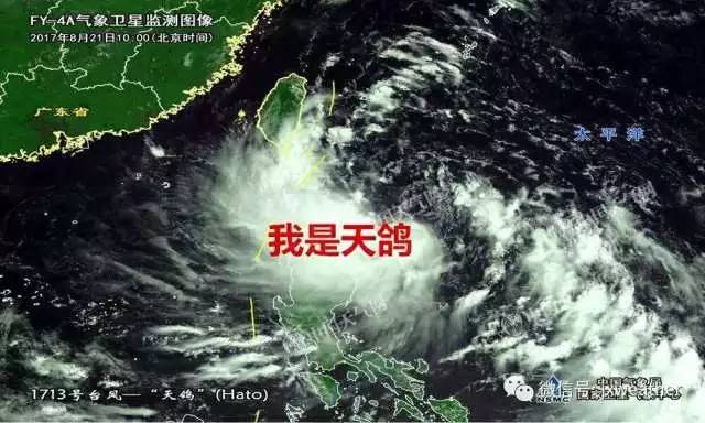 紧急通知!台风"天鸽"就要飞来,东莞启动iii级应急,有大风暴雨!