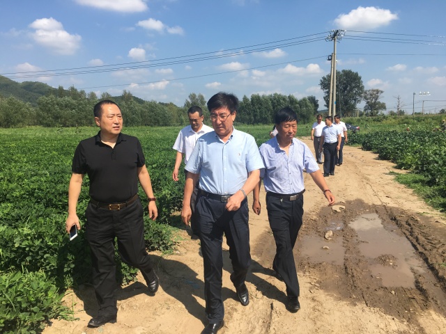 阜新市副市长李志成一行莅临新益农公司种植示范基地考察指导