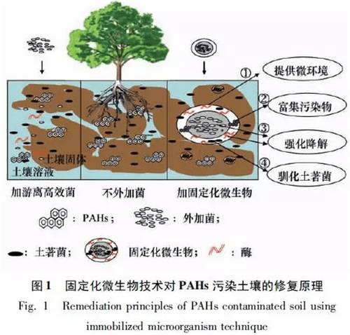 我国工业污染场地主要类型及土壤修复技术解析