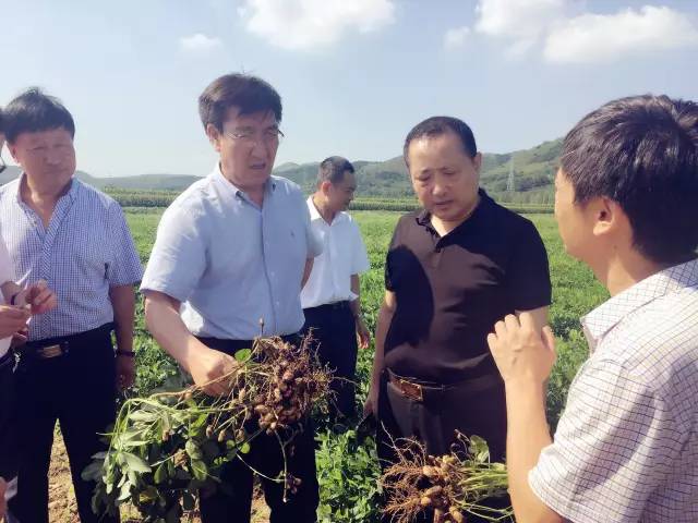 阜新市副市长李志成一行莅临新益农公司种植示范基地考察指导