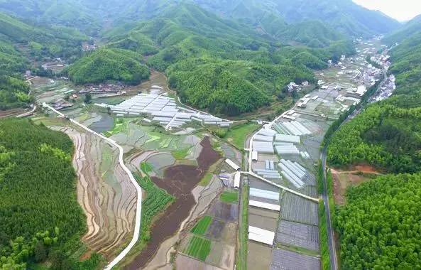 游水果庄园,享采摘乐趣 龙泉市八都镇乡村文化漫游节暨高大门西瓜节8