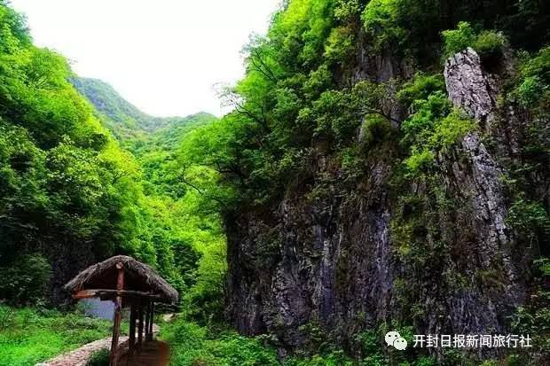 栾川县鸭石红豆杉景区位于河南省洛阳市西南部,栾川县城北部,距栾川