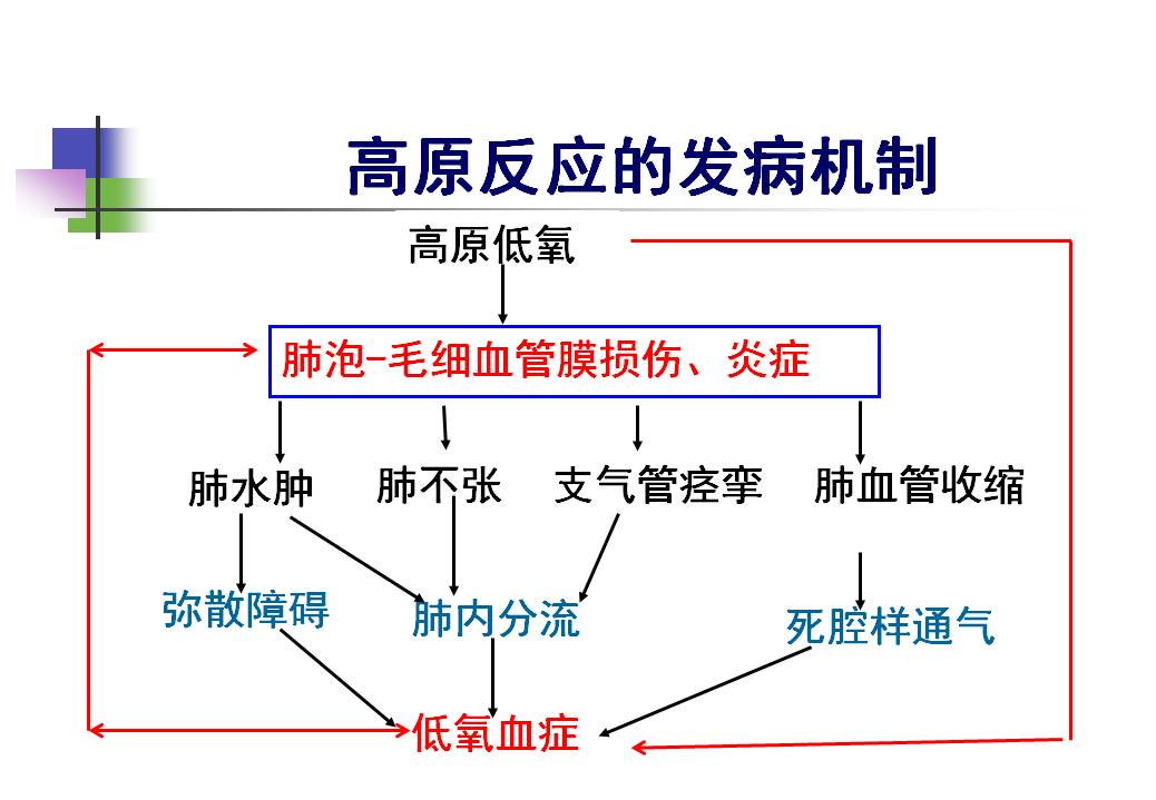 潮式呼吸发生的原理是什么_什么是腹式呼吸图解(3)