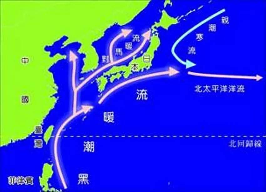 日本东部海区处在黑潮暖流和亲潮寒流之间的"海洋锋面"上,因而也是