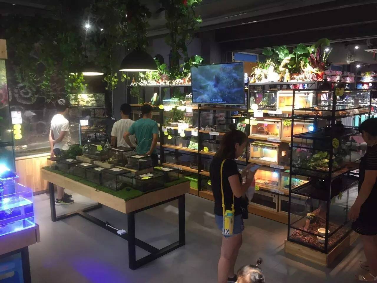 爬宠展区有谁参加? | 爬圈