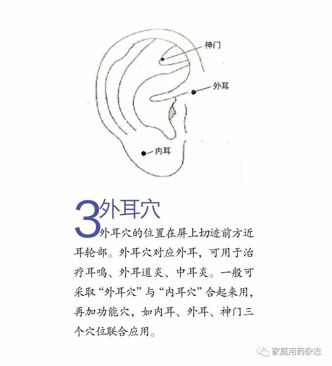 第四节 非标准化耳穴参考图-望耳诊病与耳穴治疗-医学