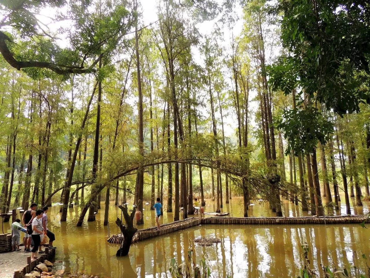 阳江金山植物公园