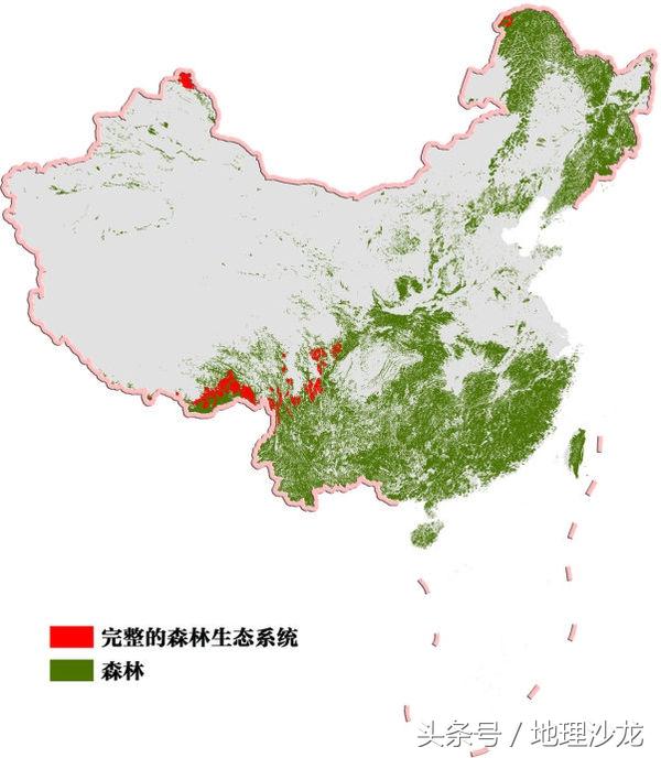 中国森林覆盖率最高的十个省份