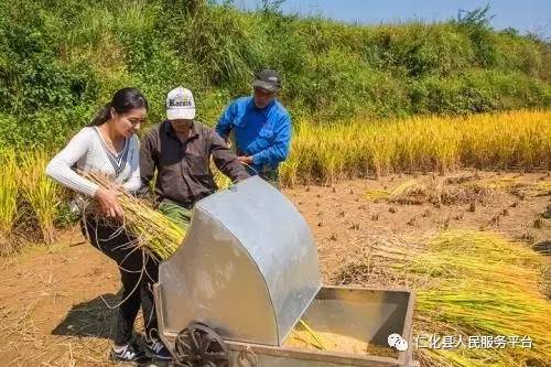 致仁化的朋友还记得割稻谷的日子吗?你有干过这样的活吗?(转疯了)